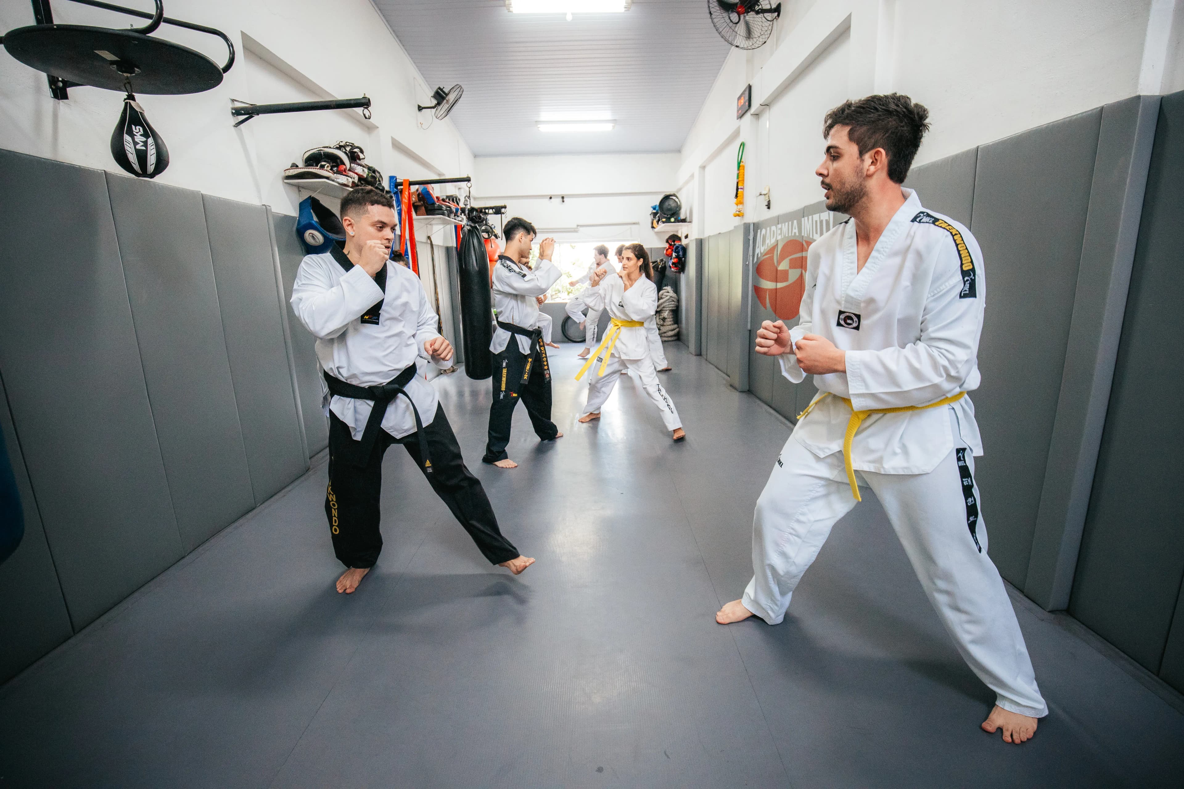 Princípios do Taekwondo